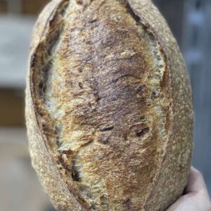 Roasted Onion Sourdough Loaf