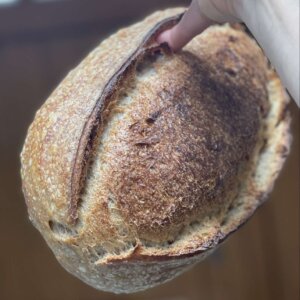 Rosemary Sourdough Loaf